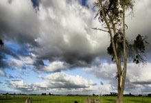 巴黎圣日尔曼紧张比赛险胜