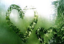 黄队在比赛中表现出色：一场技战术与团队精神的完美演绎