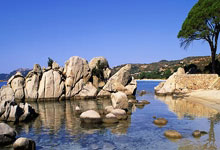 黄队在比赛中表现出色：一场技战术与团队精神的完美演绎