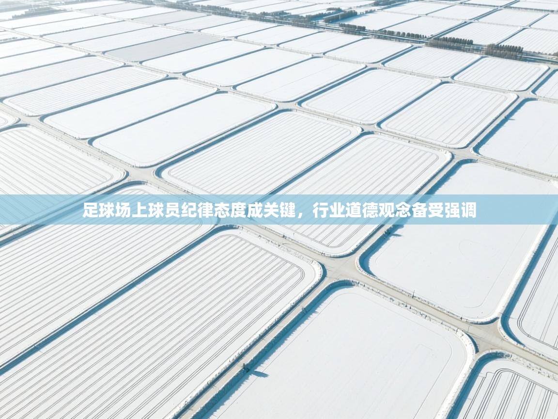 足球场上球员纪律态度成关键，行业道德观念备受强调  第1张
