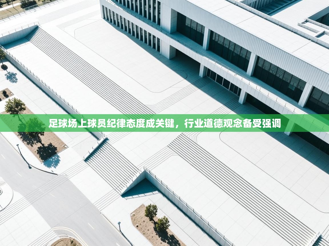足球场上球员纪律态度成关键，行业道德观念备受强调  第2张